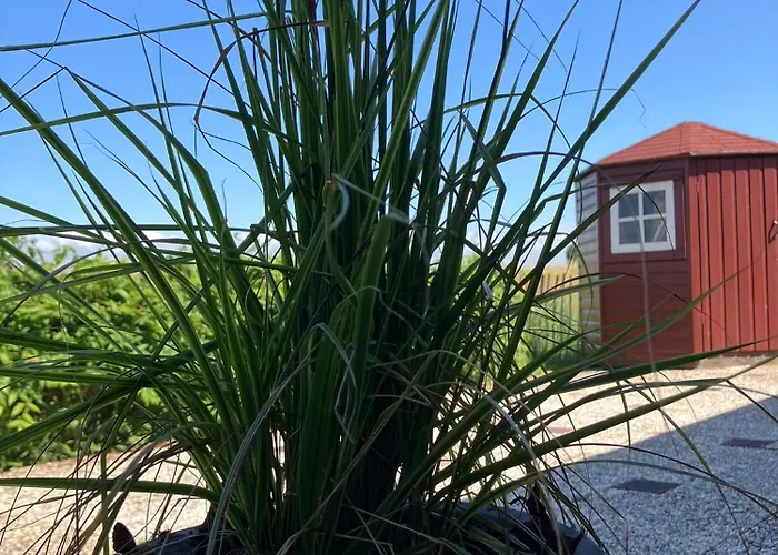 Chalet Kings View Cottage, Nu Met Nieuwe Grote Bbq *