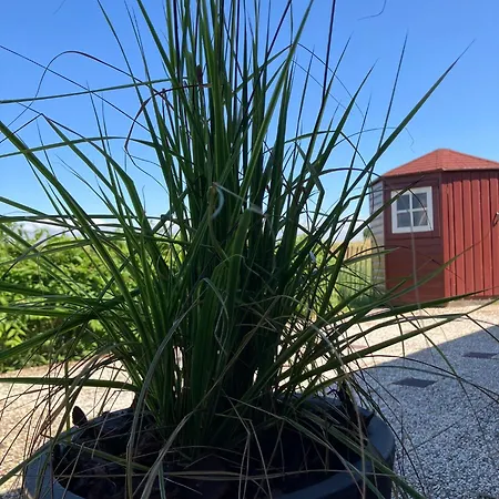 Domek alpejski Kings View Cottage, Nu Met Nieuwe Grote Bbq *